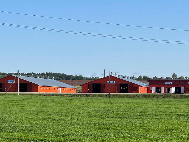 В Устьянском округе растёт производство молока и мяса